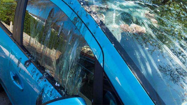一辆蓝色的汽车上满是鸟粪，车主想知道如何让鸟远离他的房子.